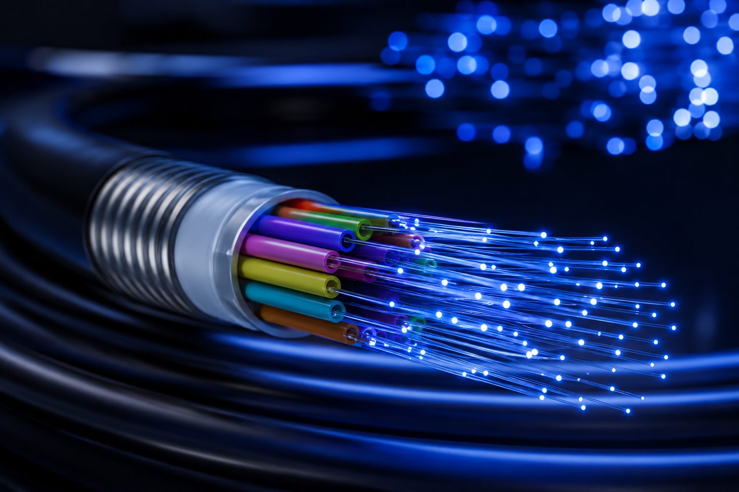 Fiber to the Home